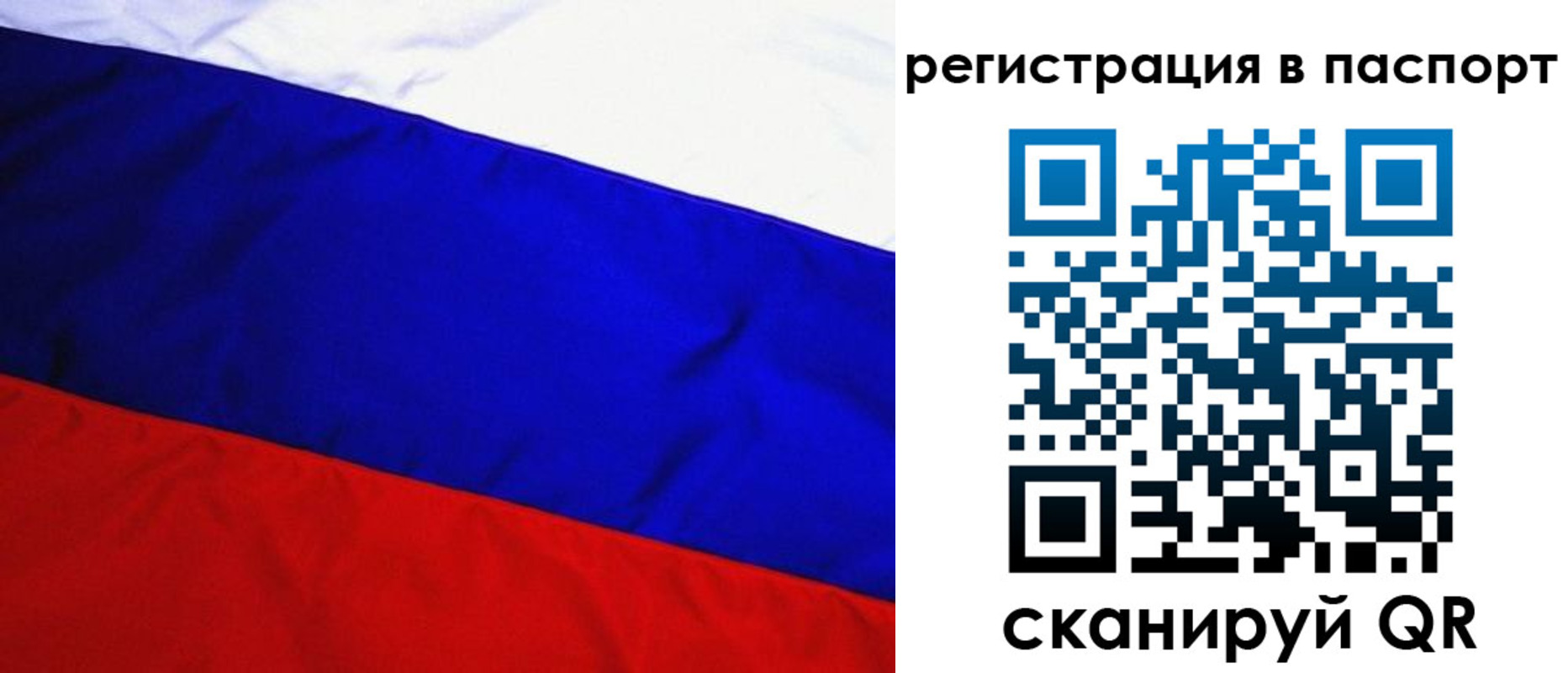 форма 3 в Ленинградской области